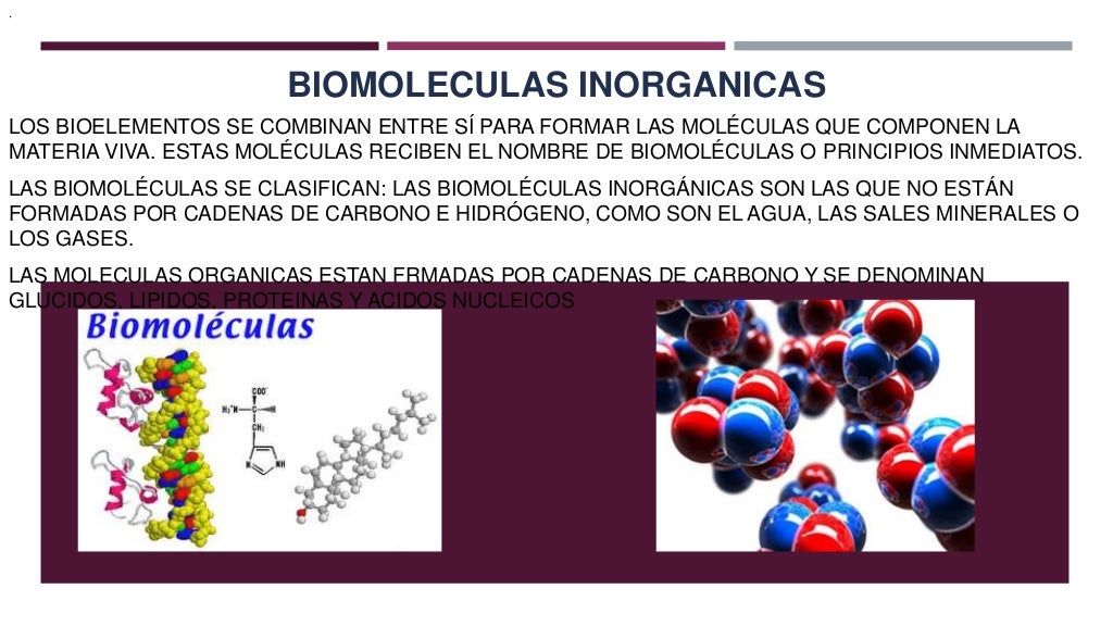 Biomoleculas inorganicas