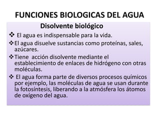 FUNCIONES BIOLOGICAS DEL AGUA
Disolvente biológico
 El agua es indispensable para la vida.
El agua disuelve sustancias como proteínas, sales,
azúcares.
Tiene acción disolvente mediante el
establecimiento de enlaces de hidrógeno con otras
moléculas.
 El agua forma parte de diversos procesos químicos
por ejemplo, las moléculas de agua se usan durante
la fotosíntesis, liberando a la atmósfera los átomos
de oxígeno del agua.
 