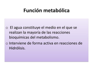 Función metabólica
o El agua constituye el medio en el que se
realizan la mayoría de las reacciones
bioquímicas del metabolismo.
o Interviene de forma activa en reacciones de
Hidrólisis.
 