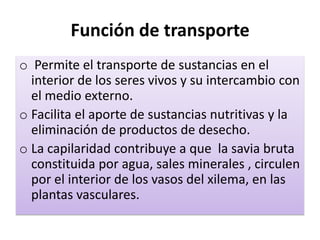Función de transporte
o Permite el transporte de sustancias en el
interior de los seres vivos y su intercambio con
el medio externo.
o Facilita el aporte de sustancias nutritivas y la
eliminación de productos de desecho.
o La capilaridad contribuye a que la savia bruta
constituida por agua, sales minerales , circulen
por el interior de los vasos del xilema, en las
plantas vasculares.
 
