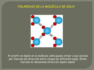Al existir un dipolo en la molécula, ésta puede atraer a sus vecinas
por fuerzas de atracción entre cargas de diferente signo. Estas
fuerzas se denominan atracción dipolo-dipolo
POLARIDAD DE LA MOLÉCULA DE AGUA
 