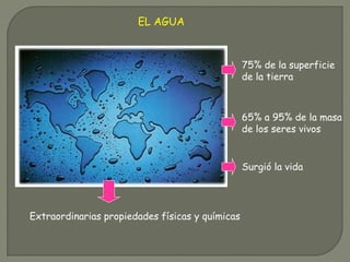 EL AGUA
75% de la superficie
de la tierra
65% a 95% de la masa
de los seres vivos
Surgió la vida
Extraordinarias propiedades físicas y químicas
 