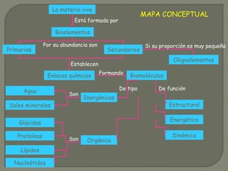 MAPA CONCEPTUAL
La materia viva
Bioelementos
Primarios Secundarios
Oligoelementos
Está formada por
Enlaces químicos
Por su abundancia son
Establecen
BiomoléculasFormando
Inorgánicas
Orgánica
Sales minerales
Agua
Proteínas
Glúcidos
Nucleótidos
Lípidos
Son
Son
Estructural
Energética
Dinámica
De funciónDe tipo
Si su proporción es muy pequeña
 