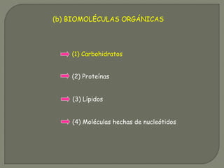 (b) BIOMOLÉCULAS ORGÁNICAS
(1) Carbohidratos
(2) Proteínas
(3) Lípidos
(4) Moléculas hechas de nucleótidos
 