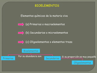 BIOELEMENTOS
(a) Primarios o macroelementos
(b) Secundarios o microelementos
(c) Oligoelementos o elementos traza
Elementos químicos de la materia viva
Bioelementos
Primarios Secundarios
Oligoelementos
Por su abundancia son Si su proporción es muy pequeña
 