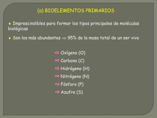 (a) BIOELEMENTOS PRIMARIOS
♦ Imprescindibles para formar los tipos principales de moléculas
biológicas
♦ Son los más abundantes ⇒ 95% de la masa total de un ser vivo
Carbono (C)
Oxígeno (O)
Hidrógeno (H)
Nitrógeno (N)
Fósforo (P)
Azufre (S)
 