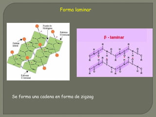Forma laminar
Se forma una cadena en forma de zigzag
 