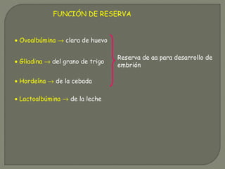 FUNCIÓN DE RESERVA
• Ovoalbúmina → clara de huevo
• Gliadina → del grano de trigo
• Hordeína → de la cebada
• Lactoalbúmina → de la leche
Reserva de aa para desarrollo de
embrión
 