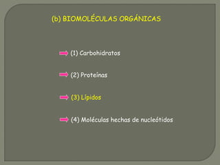 (b) BIOMOLÉCULAS ORGÁNICAS
(1) Carbohidratos
(2) Proteínas
(3) Lípidos
(4) Moléculas hechas de nucleótidos
 