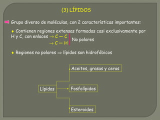 (3) LÍPIDOS
Grupo diverso de moléculas, con 2 características importantes:
♦ Contienen regiones extensas formadas casi exclusivamente por
H y C, con enlaces → C ― C
→ C ― H
No polares
♦ Regiones no polares ⇒ lípidos son hidrofóbicos
Aceites, grasas y ceras
Fosfolípidos
Esteroides
Lípidos
 