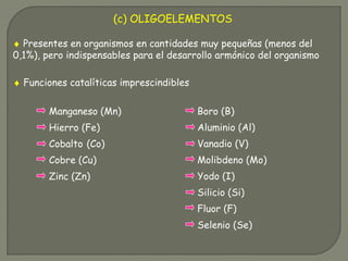(c) OLIGOELEMENTOS
♦ Presentes en organismos en cantidades muy pequeñas (menos del
0,1%), pero indispensables para el desarrollo armónico del organismo
Manganeso (Mn)
Hierro (Fe)
Cobalto (Co)
Cobre (Cu)
Zinc (Zn)
Boro (B)
Aluminio (Al)
Vanadio (V)
Molibdeno (Mo)
Yodo (I)
Silicio (Si)
Fluor (F)
Selenio (Se)
♦ Funciones catalíticas imprescindibles
 
