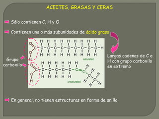 ACEITES, GRASAS Y CERAS
Sólo contienen C, H y O
Contienen una o más subunidades de ácido graso
Largas cadenas de C e
H con grupo carboxilo
en extremo
Grupo
carboxilo
En general, no tienen estructuras en forma de anillo
 
