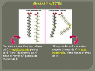 GRASAS Y ACEITES
Con enlaces sencillos en cadenas
de C ⇒ está saturado porque
está “lleno” de átomos de H:
tiene el mayor N° posible de
átomos de H
Si hay dobles enlaces entre
algunos átomos de C ⇒ está
insaturado, tiene menos átomos
de H
 