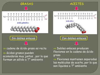 GRASAS ACEITES
Sin dobles enlaces
⇒ cadena de ácido graso es recta
⇒ ácidos grasos pueden
acomodarse muy juntos , por lo que
forman un sólido a T° ambiente
Con dobles enlaces
⇒ Dobles enlaces producen
flexiones en la cadena de ácido
graso
⇒ Flexiones mantienen separadas
las moléculas de aceite, por lo que
son líquidos a T° ambiente
 