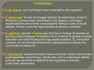 FUNCIONES
F. de reserva: son la principal reserva energética del organismo
F. estructural: forman las bicapas lipídicas de membranas celulares.
Recubren y proporcionan consistencia a los órganos, y protegen
mecánicamente estructuras o son aislantes térmicos como el tejido
adiposo. Forman cubiertas impermeables en plantas o animales
F. catalítica: aportan vitaminas que facilitan el trabajo de enzimas en
las reacciones biológicas. En ausencia de la vitamina, la enzima no puede
funcionar con todos los perjuicios que puede ocasionar. Ej. retinoides
(vitamina A), tocoferoles (vitamina E), naftoquinonas (vitamina K) y
calciferoles (vitamina D).
F. informativa: muchas hormonas tienen estructura lipídica (esteroides,
prostaglandinas, leucotrienos, calciferoles, etc) y constituyen señales
químicas que permiten la adaptación del organismo a diversas
condiciones ambientales
 