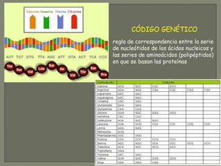CÓDIGO GENÉTICO
regla de correspondencia entre la serie
de nucleótidos de los ácidos nucleicos y
las series de aminoácidos (polipéptidos)
en que se basan las proteínas
 