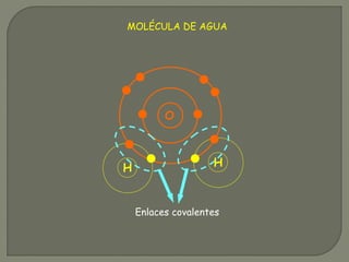O
H H
Enlaces covalentes
MOLÉCULA DE AGUA
 