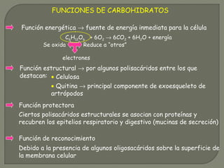 FUNCIONES DE CARBOHIDRATOS
C6H12O6 + 6O2 → 6CO2 + 6H2O + energía
Función energética → fuente de energía inmediata para la ...