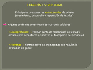 FUNCIÓN ESTRUCTURAL
Algunas proteínas constituyen estructuras celulares
• Glucoproteínas → forman parte de membranas celul...