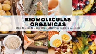 BIOMOLÉCULAS
ORGÁNICAS
Glúcidos, lípidos, proteínas, vitaminas y ácidos nucleicos
 