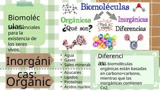 biomoleculas_organicas.pptxbiomolevulas organicas | PPTX