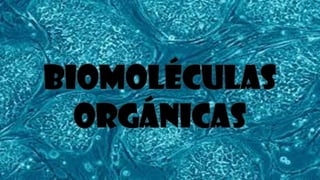 Biomoléculas Orgánicas en el Humano -M.Y.M.F