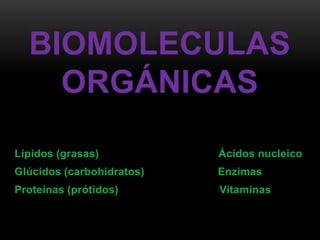 BIOMOLECULAS
ORGÁNICAS
Lípidos (grasas)

Ácidos nucleico

Glúcidos (carbohidratos)

Enzimas

Proteínas (prótidos)

Vitaminas

 