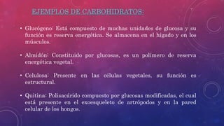 EJEMPLOS DE CARBOHIDRATOS:
• Glucógeno: Está compuesto de muchas unidades de glucosa y su
función es reserva energética. S...