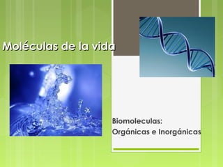 Moléculas de la vidaMoléculas de la vida
Biomoleculas:
Orgánicas e Inorgánicas
 