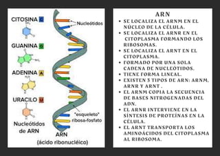 Biomoleculas organicas | PDF