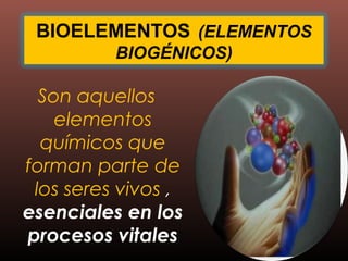 BIOELEMENTOS (ELEMENTOS 
BIOGÉNICOS) 
Son aquellos 
elementos 
químicos que 
forman parte de 
los seres vivos , 
esenciales en los 
procesos vitales 
 