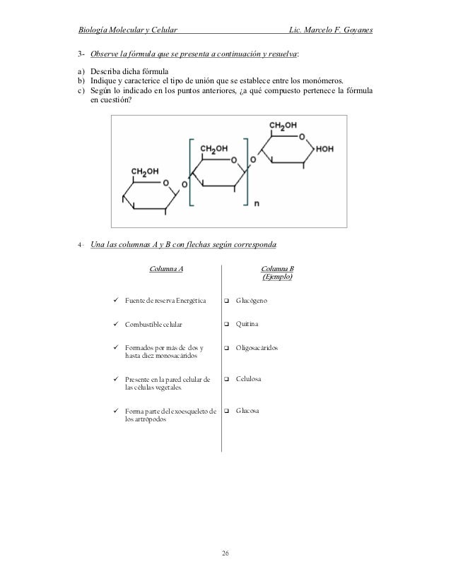 Biomoleculas pdf Biomoleculas pdf