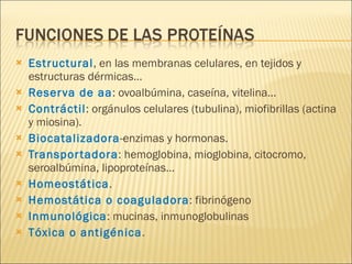 Estructural , en las membranas celulares, en tejidos y estructuras dérmicas… Reserva de aa : ovoalbúmina, caseína, vitelina… Contráctil : orgánulos celulares (tubulina), miofibrillas (actina y miosina). Biocatalizadora -enzimas y hormonas. Transportadora : hemoglobina, mioglobina, citocromo, seroalbúmina, lipoproteínas… Homeostática . Hemostática o coaguladora : fibrinógeno Inmunológica : mucinas, inmunoglobulinas Tóxica o antigénica . 