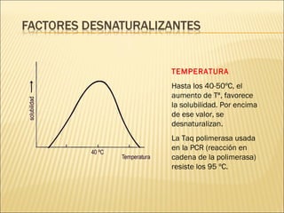 TEMPERATURA Hasta los 40-50ºC, el aumento de Tª, favorece la solubilidad. Por encima de ese valor, se desnaturalizan. La Taq polimerasa usada en la PCR (reacción en cadena de la polimerasa) resiste los 95 ºC. 