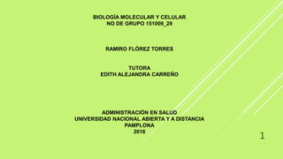 BIOLOGÍA MOLECULAR Y CELULAR
NO DE GRUPO 151009_29
RAMIRO FLÓREZ TORRES
TUTORA
EDITH ALEJANDRA CARREÑO
ADMINISTRACIÓN EN SALUD
UNIVERSIDAD NACIONAL ABIERTA Y A DISTANCIA
PAMPLONA
2016
1
 