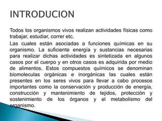 Todos los organismos vivos realizan actividades físicas como
trabajar, estudiar, correr etc.
Las cuales están asociadas a funciones químicas en su
organismo. La suficiente energía y sustancias necesarias
para realizar dichas actividades es sintetizada en algunos
casos por el cuerpo y en otros casos es adquirida por medio
de alimentos. Estos compuestos químicos se denominan
biomoleculas orgánicas e inorgánicas las cuales están
presentes en los seres vivos para llevar a cabo procesos
importantes como la conservación y producción de energía,
construcción y mantenimiento de tejidos, protección y
sostenimiento de los órganos y el metabolismo del
organismo.
 