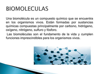 Una biomolécula es un compuesto químico que se encuentra
en los organismos vivos. Están formadas por sustancias
químicas compuestas principalmente por carbono, hidrógeno,
oxígeno, nitrógeno, sulfuro y fósforo.
Las biomoléculas son el fundamento de la vida y cumplen
funciones imprescindibles para los organismos vivos.
 