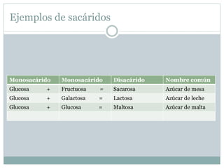 Ejemplos de sacáridos
Monosacárido Monosacárido Disacárido Nombre común
Glucosa + Fructuosa = Sacarosa Azúcar de mesa
Glucosa + Galactosa = Lactosa Azúcar de leche
Glucosa + Glucosa = Maltosa Azúcar de malta
 