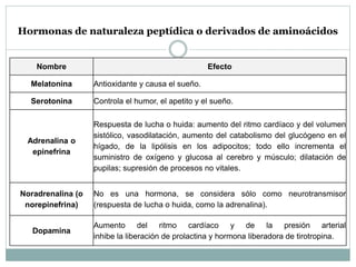 Hormonas de naturaleza peptídica o derivados de aminoácidos
Nombre Efecto
Melatonina Antioxidante y causa el sueño.
Serotonina Controla el humor, el apetito y el sueño.
Adrenalina o
epinefrina
Respuesta de lucha o huida: aumento del ritmo cardíaco y del volumen
sistólico, vasodilatación, aumento del catabolismo del glucógeno en el
hígado, de la lipólisis en los adipocitos; todo ello incrementa el
suministro de oxígeno y glucosa al cerebro y músculo; dilatación de
pupilas; supresión de procesos no vitales.
Noradrenalina (o
norepinefrina)
No es una hormona, se considera sólo como neurotransmisor
(respuesta de lucha o huida, como la adrenalina).
Dopamina
Aumento del ritmo cardíaco y de la presión arterial
inhibe la liberación de prolactina y hormona liberadora de tirotropina.
 