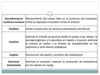 Gonadotropina
coriónica humana
Mantenimiento del cuerpo lúteo en el comienzo del embarazo;
inhibe la respuesta inmunitaria contra el embrión.
Inhibina Inhibe la producción de hormona estimuladora del folículo.
Insulina
Estimula la entrada de glucosa desde la sangre a las células, la
glucogenogénesis y la glucólisis en hígado y músculo; estimula
la entrada de lípidos y la síntesis de triacilgliceroles en los
adipocitos y otros efectos anabólicos.
Leptina Disminución del apetito y aumento del metabolismo.
Hormona
luteinizante
Estimula la ovulación; estimula la producción de testosterona
por las células de Leydig.
 