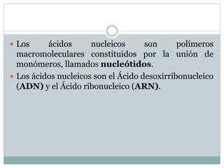  Los ácidos nucleicos son polímeros
macromoleculares constituidos por la unión de
monómeros, llamados nucleótidos.
 Los ácidos nucleicos son el Ácido desoxirribonucleico
(ADN) y el Ácido ribonucleico (ARN).
 