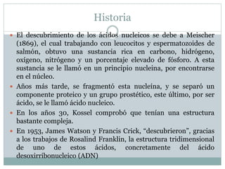 Historia
 El descubrimiento de los ácidos nucleicos se debe a Meischer
(1869), el cual trabajando con leucocitos y espermatozoides de
salmón, obtuvo una sustancia rica en carbono, hidrógeno,
oxígeno, nitrógeno y un porcentaje elevado de fósforo. A esta
sustancia se le llamó en un principio nucleina, por encontrarse
en el núcleo.
 Años más tarde, se fragmentó esta nucleína, y se separó un
componente proteico y un grupo prostético, este último, por ser
ácido, se le llamó ácido nucleico.
 En los años 30, Kossel comprobó que tenían una estructura
bastante compleja.
 En 1953, James Watson y Francis Crick, “descubrieron”, gracias
a los trabajos de Rosalind Franklin, la estructura tridimensional
de uno de estos ácidos, concretamente del ácido
desoxirribonucleico (ADN)
 