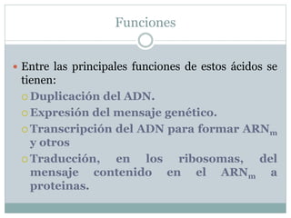 Funciones
 Entre las principales funciones de estos ácidos se
tienen:
 Duplicación del ADN.
 Expresión del mensaje genético.
 Transcripción del ADN para formar ARNm
y otros
 Traducción, en los ribosomas, del
mensaje contenido en el ARNm a
proteinas.
 