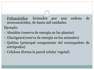 • Polisacáridos: formados por una cadena de
monosacáridos, de hasta mil unidades.
Ejemplo:
 Almidón (reserva de energía en las plantas)
 Glucógeno(reserva de energía en los animales)
 Quitina (principal componente del exoesqueleto de
artrópodos)
 Celulosa (forma la pared celular vegetal)
 