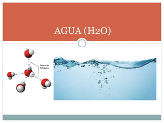 AGUA (H2O)
 