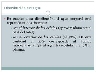 Distribución del agua
 En cuanto a su distribución, el agua corporal está
repartida en dos sistemas:
-en el interior de las células (aproximadamente el
63% del total).
-en el exterior de las células (el 37%). De esta
cantidad el 27% corresponde al líquido
intercelular, el 3% al agua transcelular y el 7% al
plasma.
 