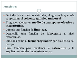 Funciones
 De todas las sustancias naturales, el agua es la que más
se aproxima al solvente químico universal
 El agua es además un medio de transporte efectivo e
insustituible.
 Cumple una función de limpieza.
 Desarrollo una función de lubricante a nivel
extracelular.
 Funciona como el termorregulador por excelencia del
cuerpo.
 Sirve también para mantener la estructura y la
arquitectura celular de nuestro cuerpo.
 