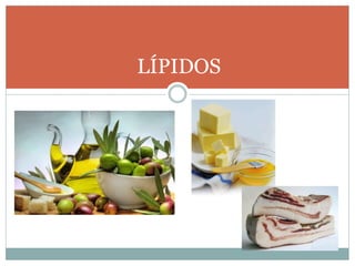 LÍPIDOS
 