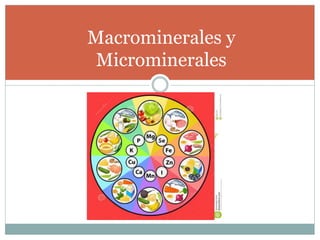 Macrominerales y
Microminerales
 