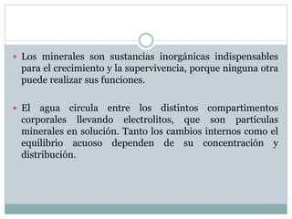  Los minerales son sustancias inorgánicas indispensables
para el crecimiento y la supervivencia, porque ninguna otra
puede realizar sus funciones.
 El agua circula entre los distintos compartimentos
corporales llevando electrolitos, que son partículas
minerales en solución. Tanto los cambios internos como el
equilibrio acuoso dependen de su concentración y
distribución.
 
